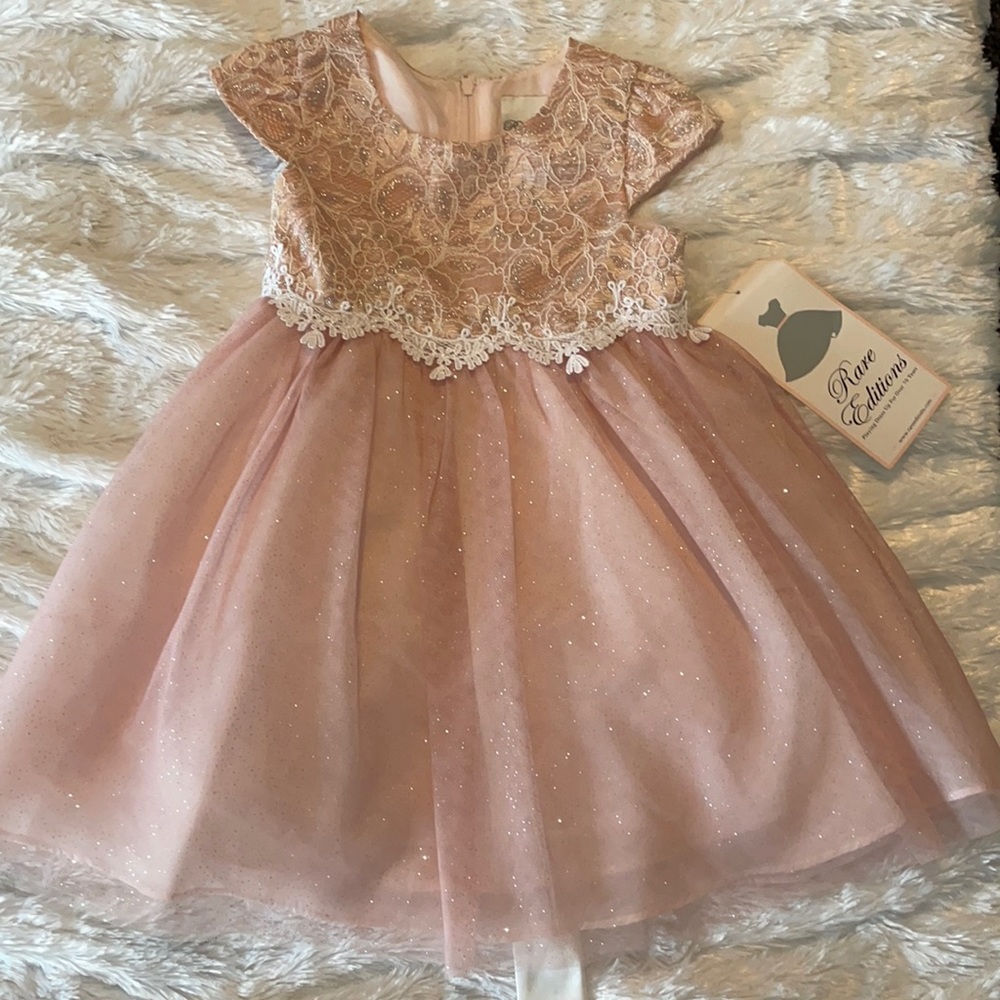 NWT Rare Editions Pink Lace & Tulle Dress 2T